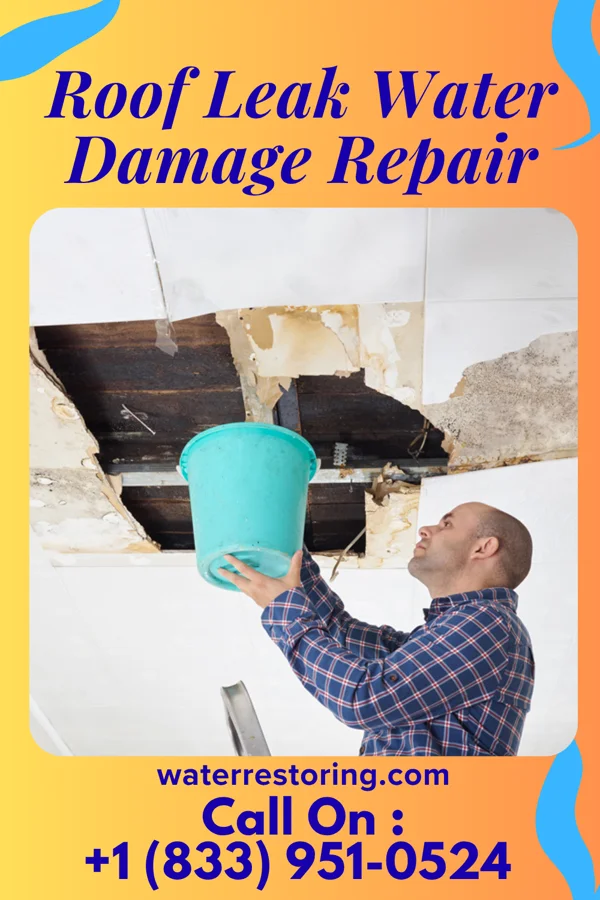 Roof Leak Water Damage Repair in Herron Island, WA